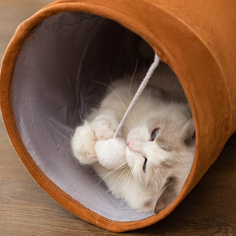 Cat lying inside tunnel toy playing with hanging ball