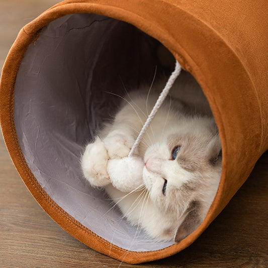 Cat lying inside tunnel toy playing with hanging ball