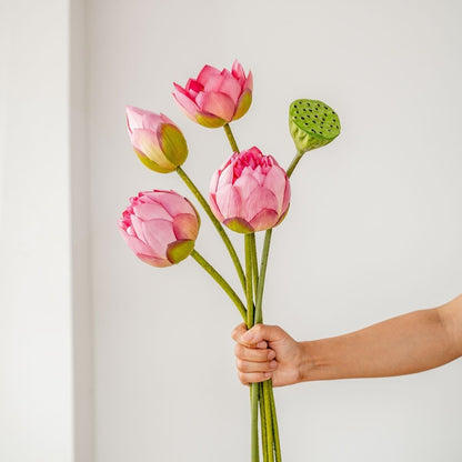 Person holding a bunch of pink lotus buds and seed pod with green stems
