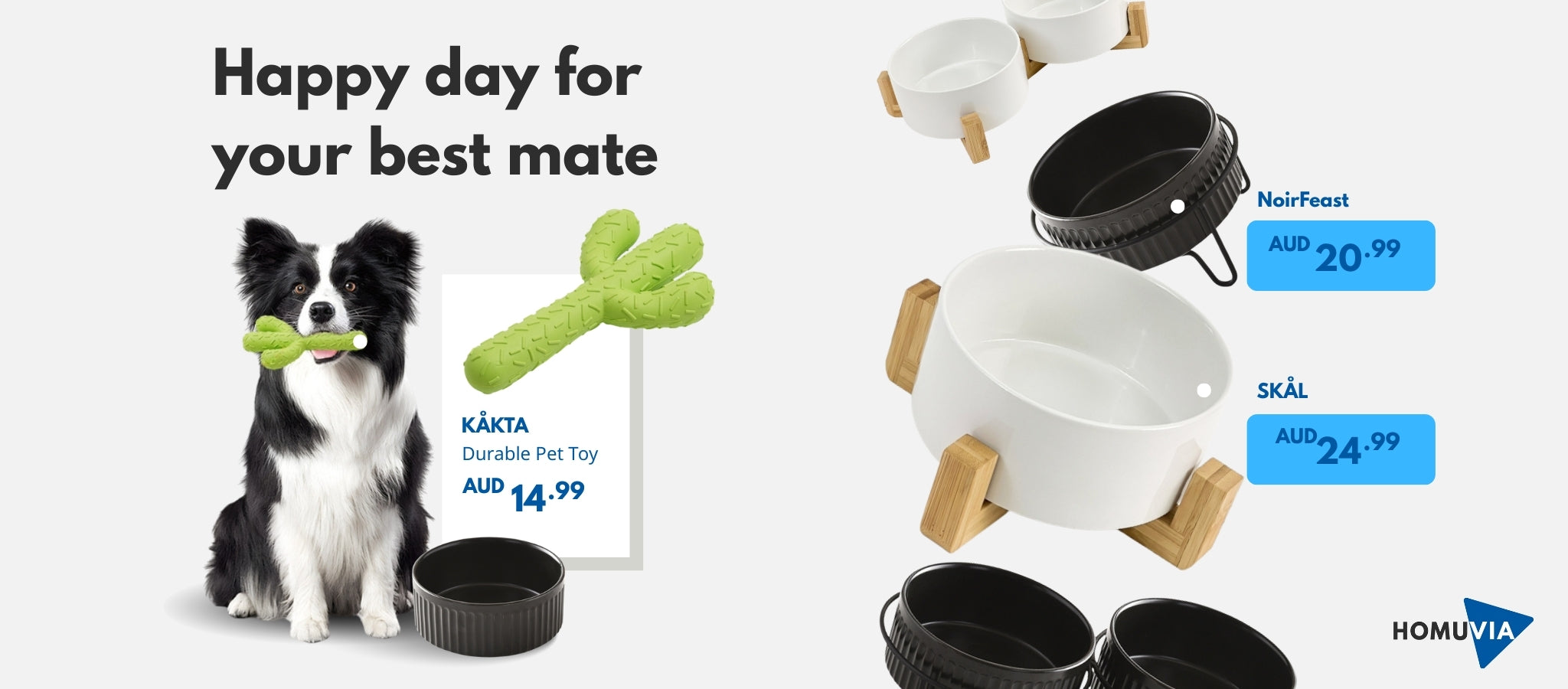  A Border Collie holds a green cactus-shaped pet toy (Käkta). Next to it are modern black and white pet food bowls (NoirFeast and Skål), all from the HOMUVIA pet accessories collection.