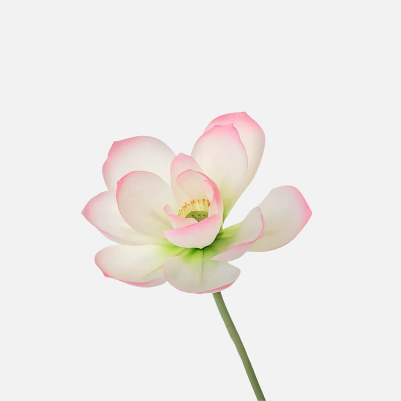 Realistic artificial lotus flower with soft pink and white petals on a single stem